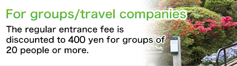Groups/travel companies